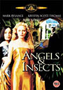 Angels And Insects